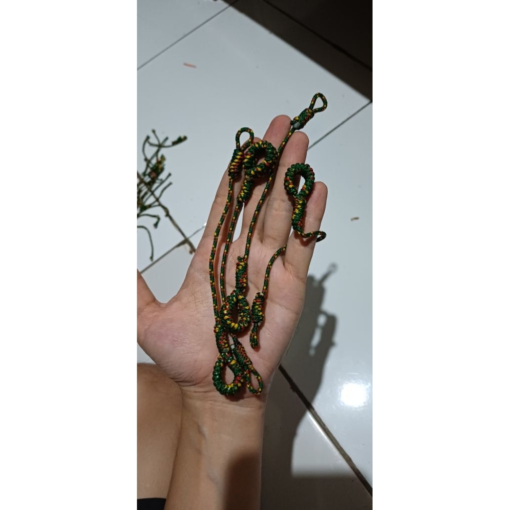 TALI ANGKLET BURUNG HANTU CELEPUK/JAVAN OWLET/NINOX