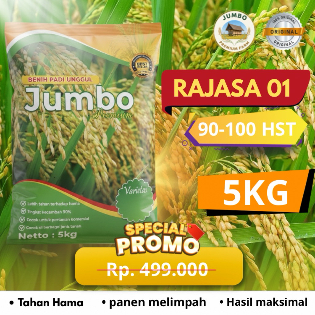 Benih padi RAJASA 01 benih padi unggul original jumbo premium benih padi berkualitas