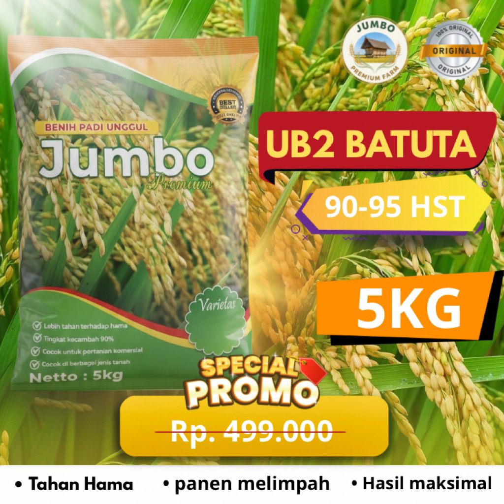 Benih padi UB2 BATUTA benih padi unggul original jumbo premium benih padi berkualitas