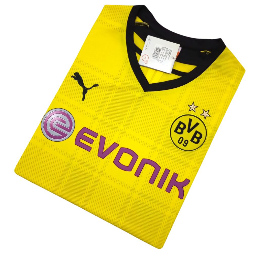 Dortmund Home 2013/2014