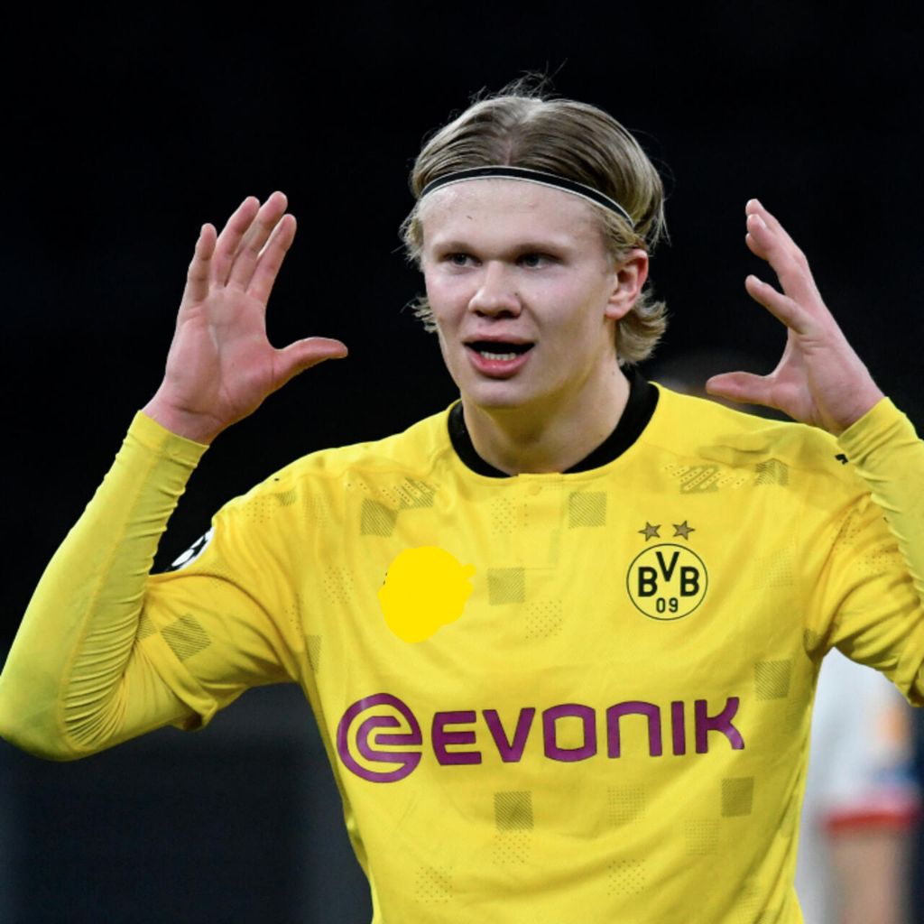 JERSEY DORMOUND 20/21 HM