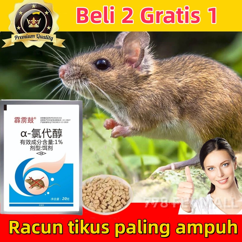 racun tikus ampuh mati kering tidak bau original rat killer pembunuh tikus rat to kill umpan tikus s