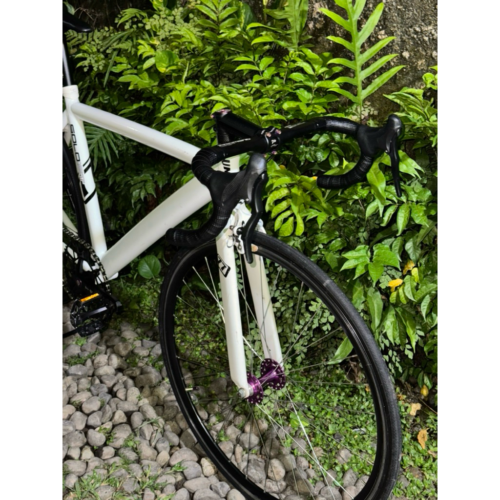 sepeda fixie soloist 77