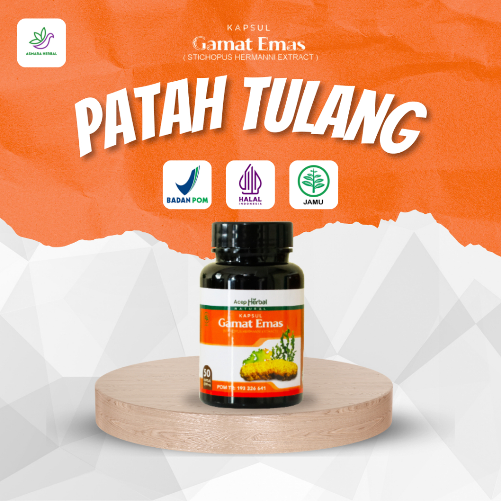 Kapsul Patah Tulang, Pemulihan Patah Tulang Tangan Kaki, Kolagen Patah Tulang, Tinggi Kolagen, Menja