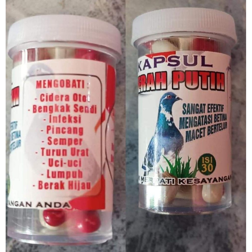 kapsul merpati (merah putih)
