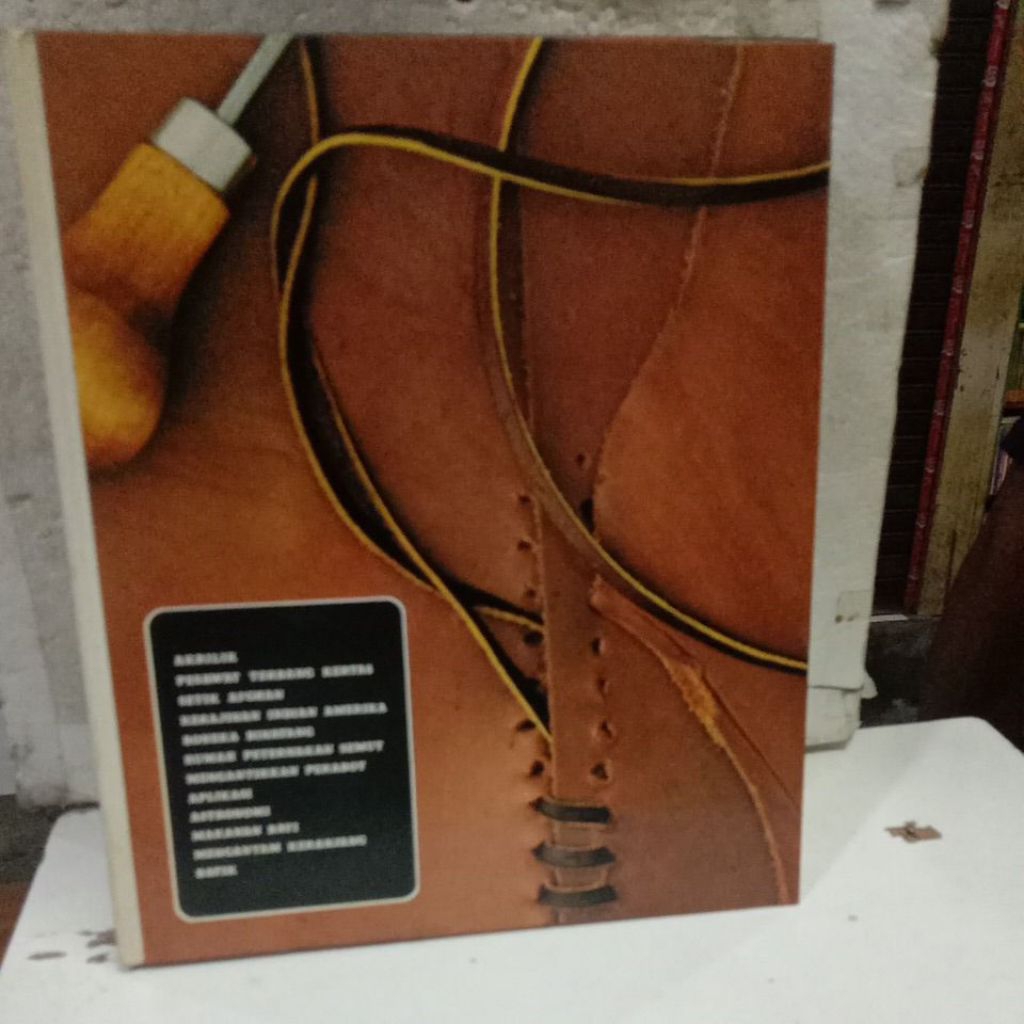 Buku Aneka Hobi Rumah Tangga: Akrilik, Pesawat Terbang Kertas, hingga Batik