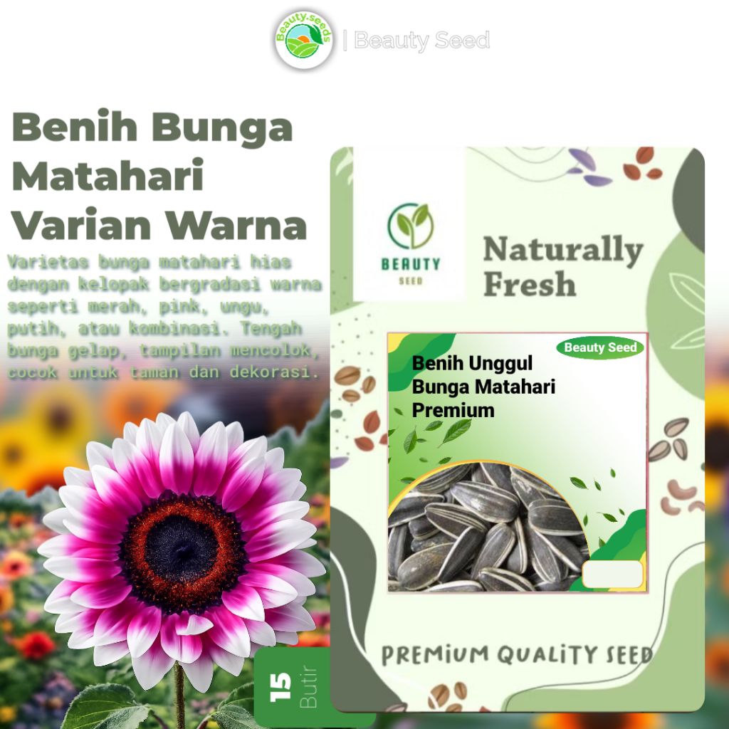 Benih Biji bunga Matahari - Variasi Biji Bunga Matahari isi 15