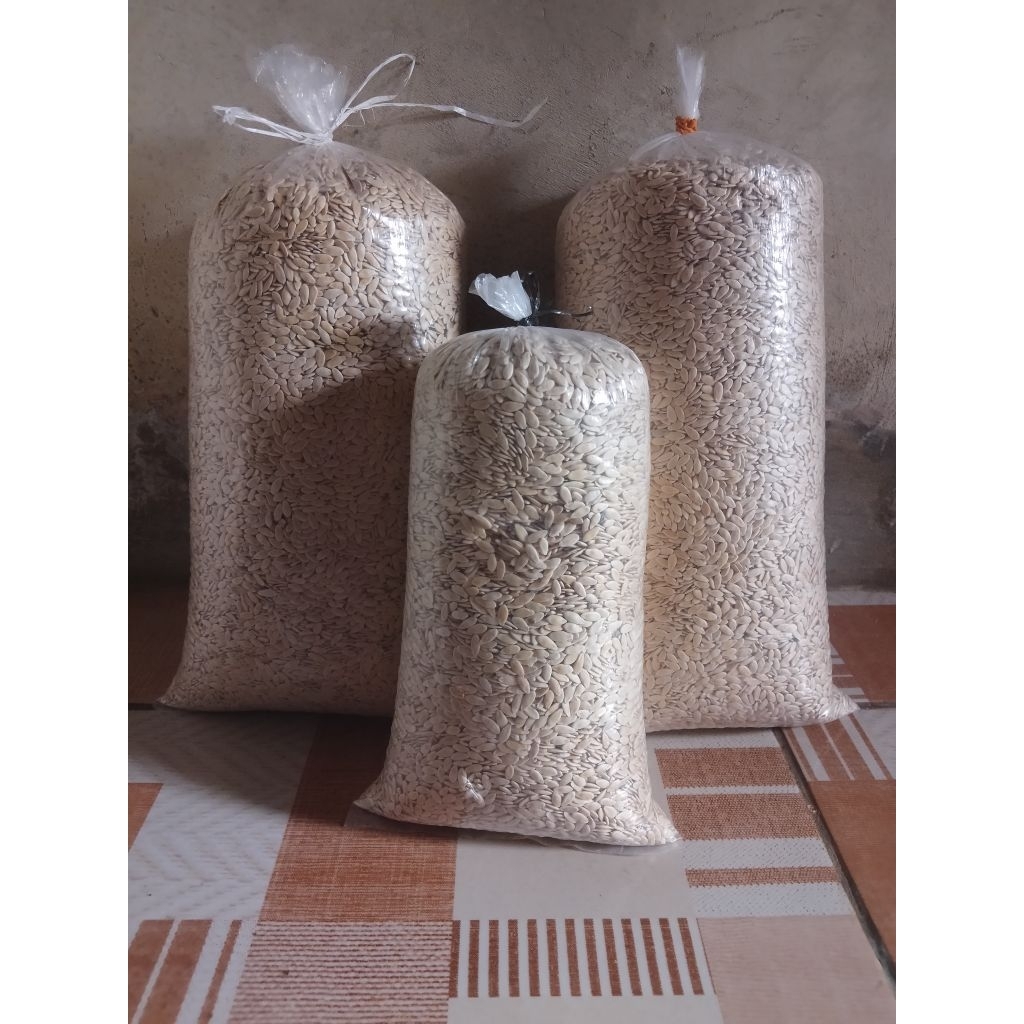 500grm bibit timun suri Manohara