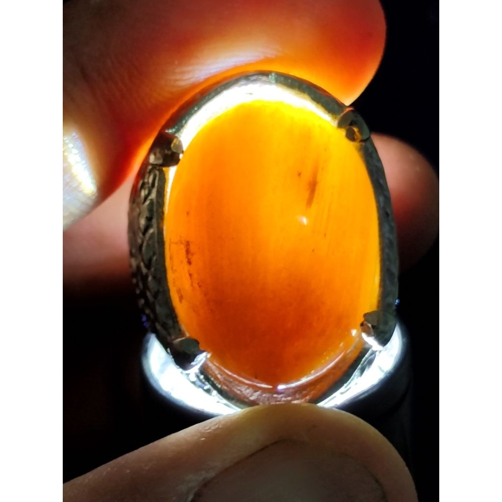 Natural Asem Petrified Wood, CRYSTAL / Batu Fosil Kayu Asem, KRISTAL, 4