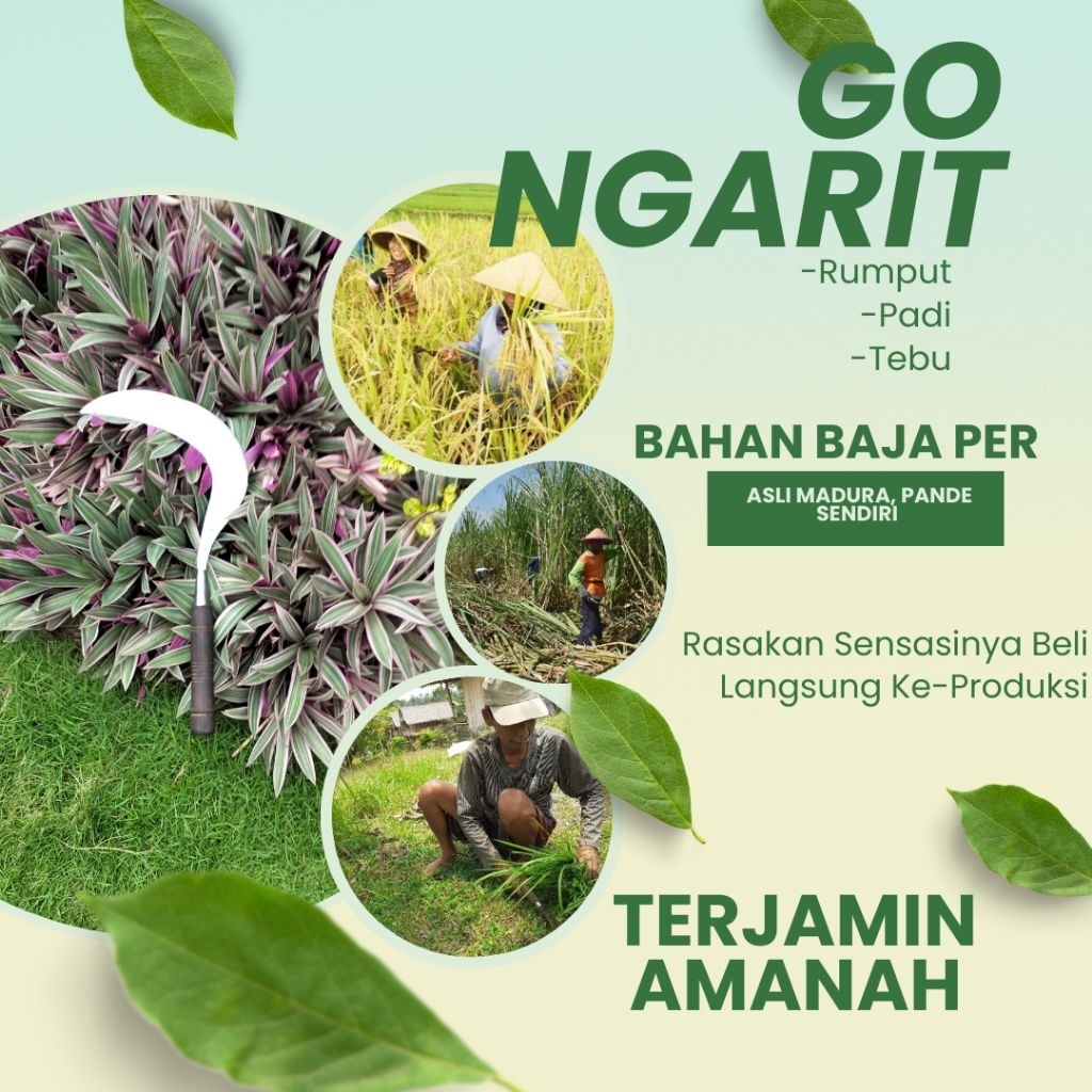 AlatBajaTaniModelAritSatuBintangKhususRumput,Padi