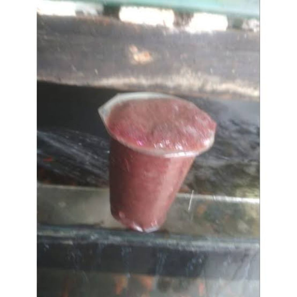 cacing sutra / cacing sutra pakan ikan / cacing sutra gelas aqua