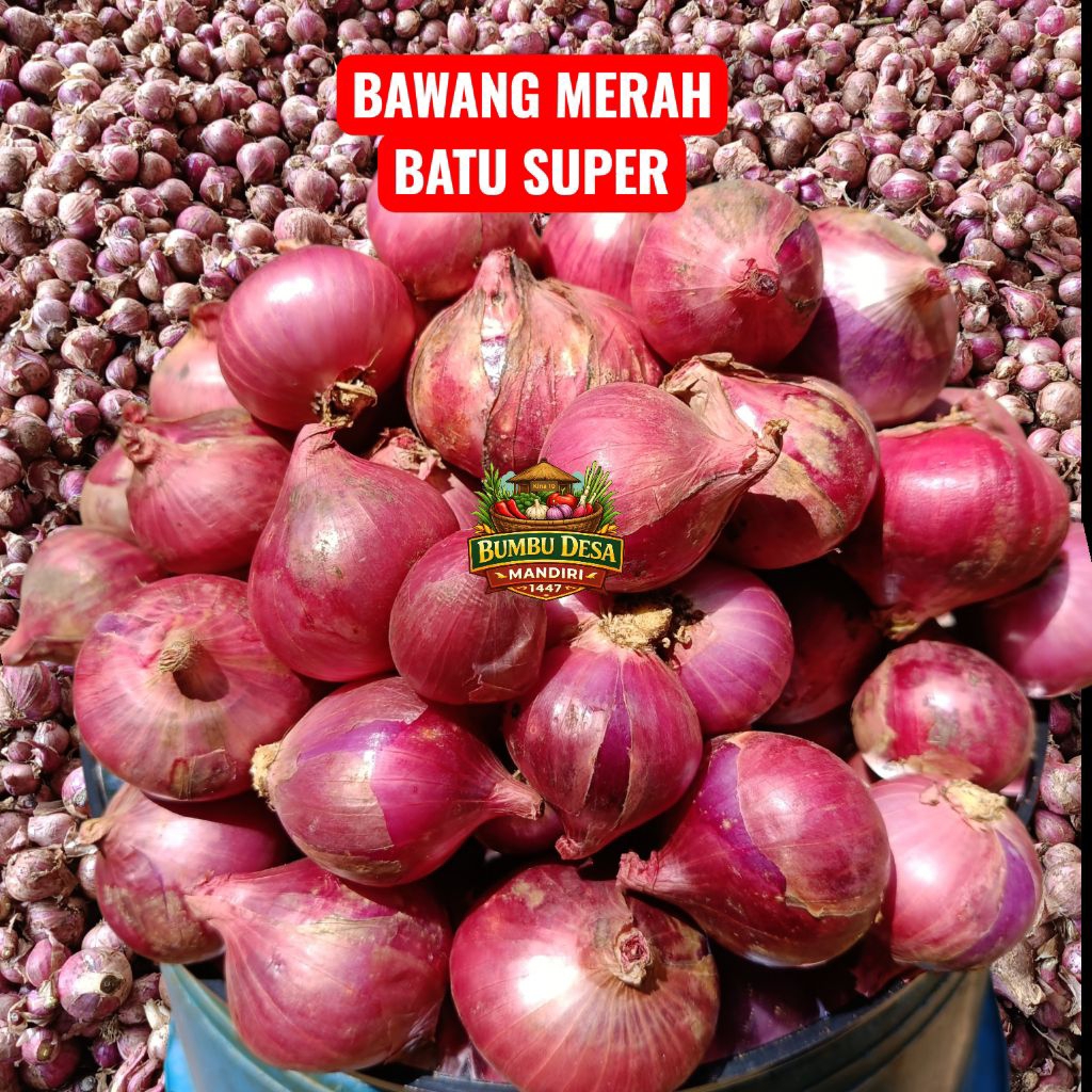Bawang Merah Lokal Super 250 Gram / Bawang Merah Batu / Bawang Merah Maja / Bawang Merah Bali / Bawa