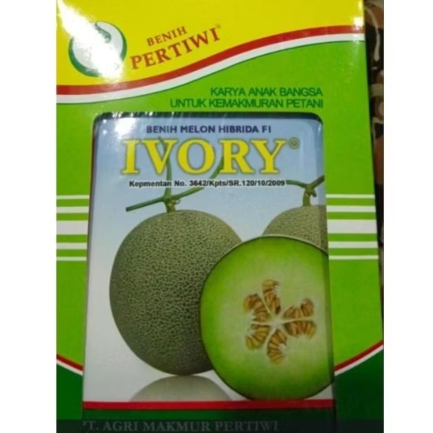 Benih Melon Pertiwi Ivory