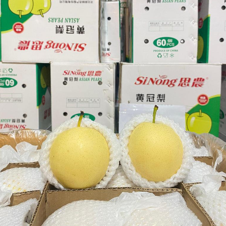 Pear Century 1dus isi 60 ±15kg