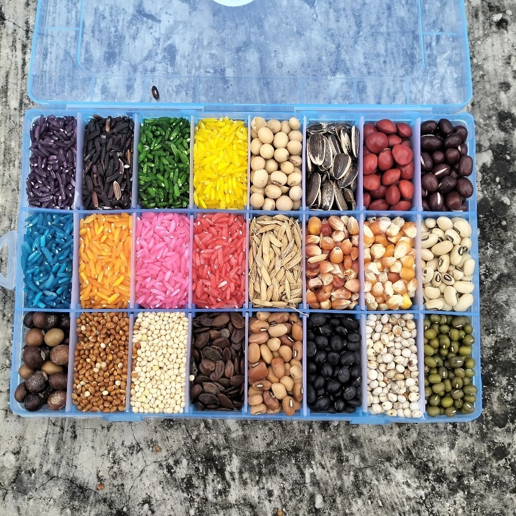 [FREE LEM ] PAKET BIJI BIJIAN UNTUK KOLASE BERAS WARNA UNTUK KOLASE TUGAS KOLASE ANAK SD BAHAN KOLAS