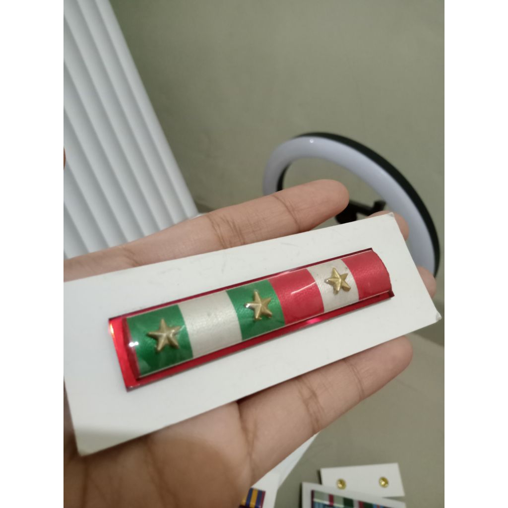 Satya lencana PDH menwa ( 4+2 tahun)