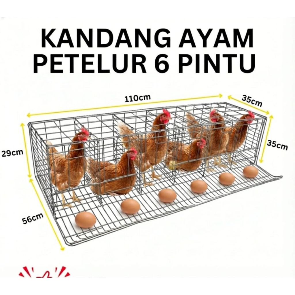 kandang ayam petelur 6 pintu isi 6 ayam BESI TEBAL KALVANIS