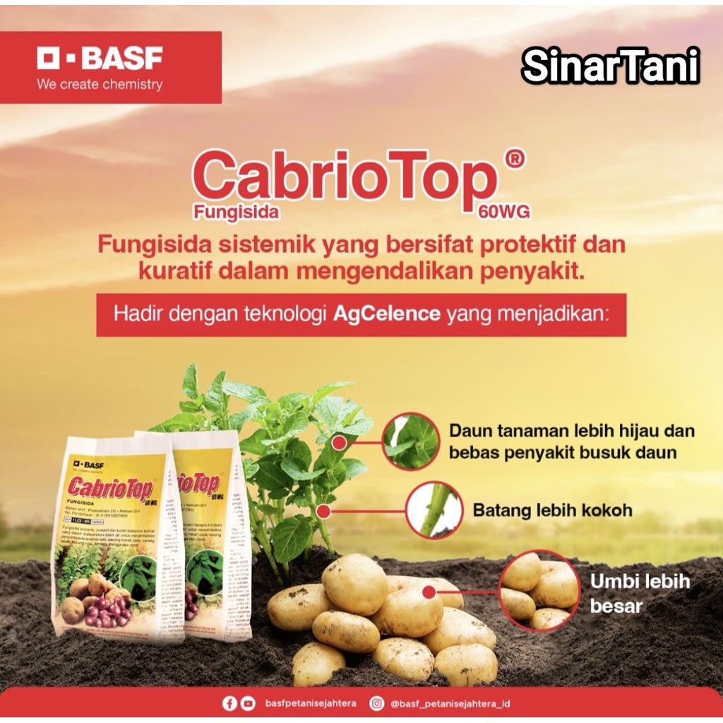 Fungisida CABRIO TOP 60WG 250gr