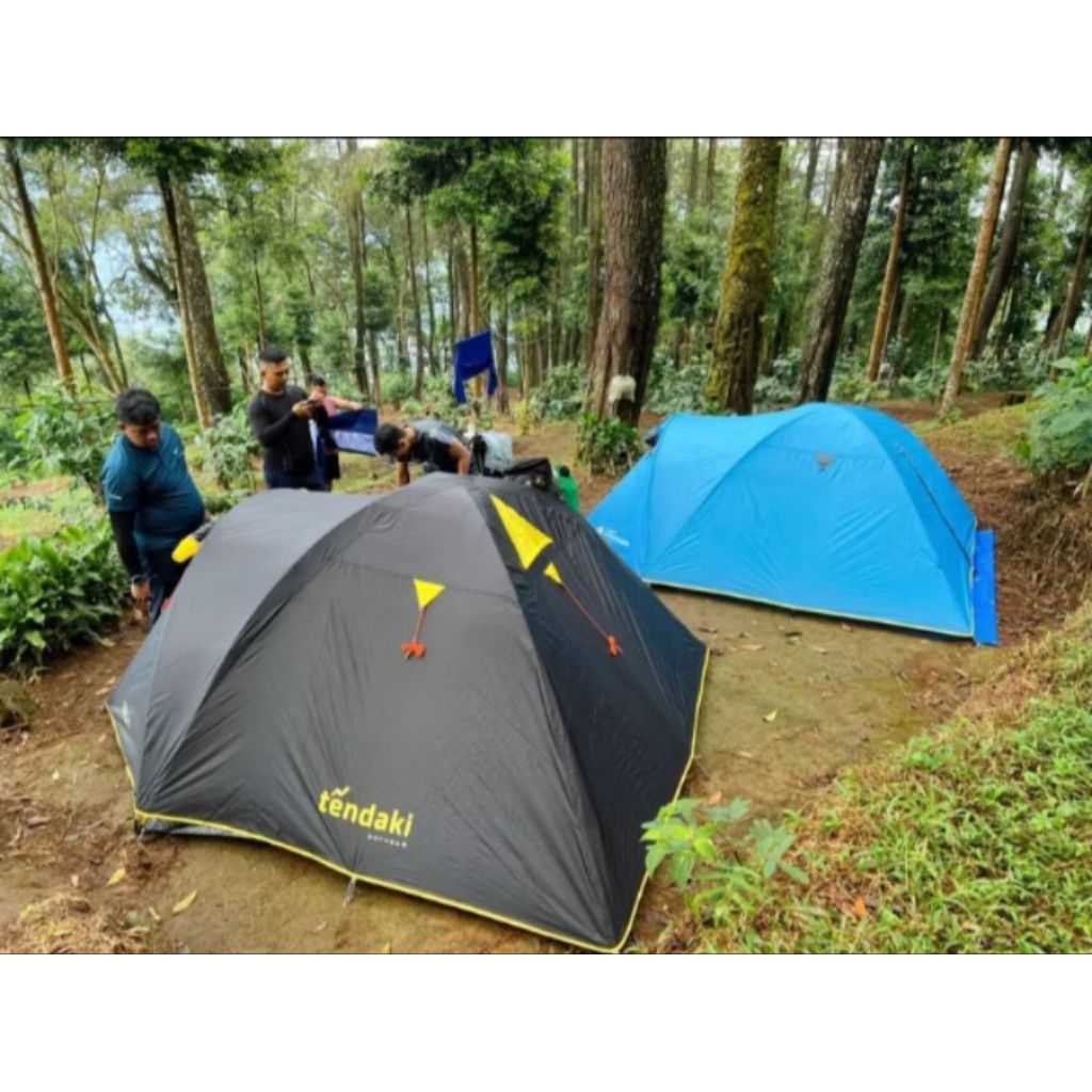 tendaki Borneo 4 new