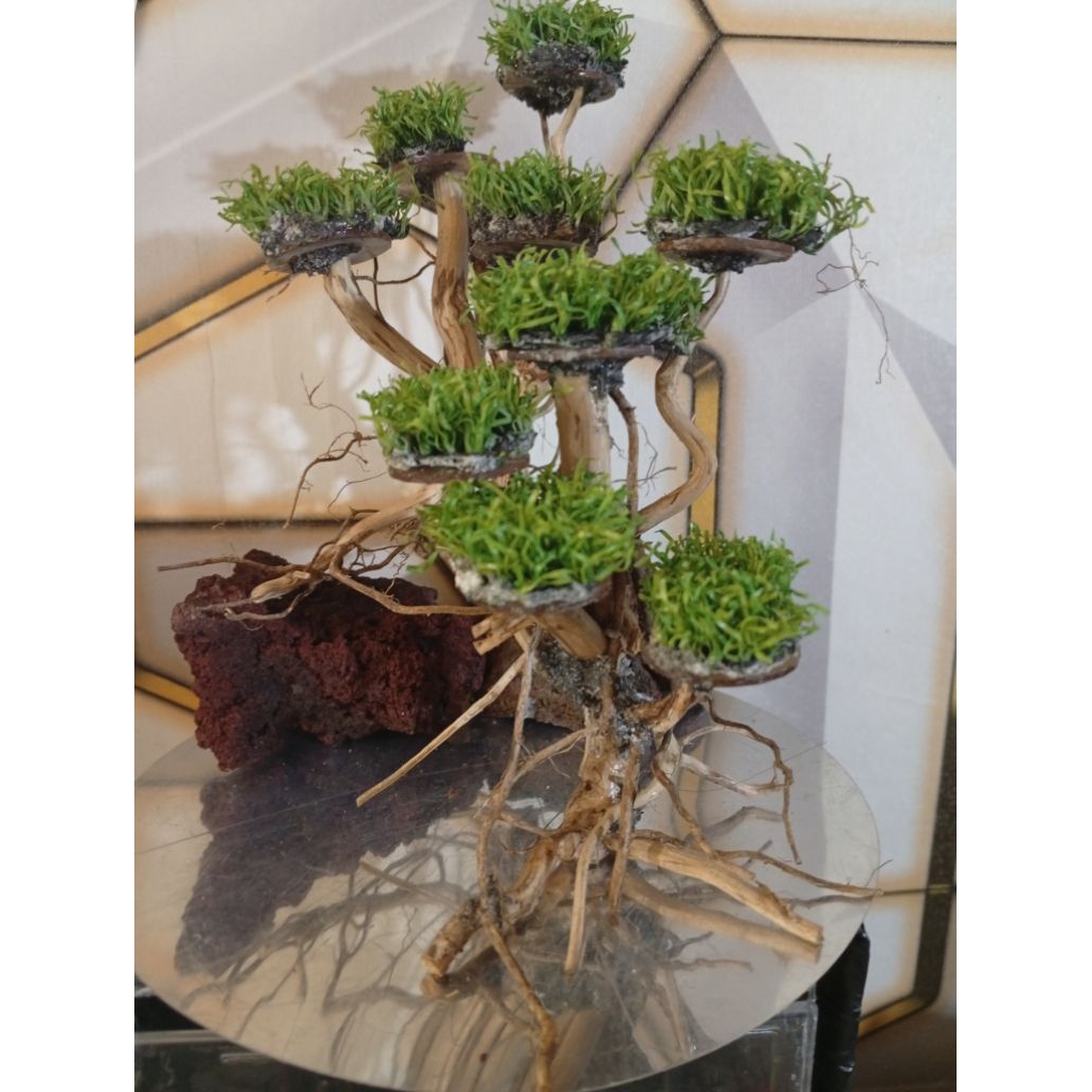 Bonsai mini - Hiasan aquarium mini ikan cupang,gupy,moly - daun sintesis