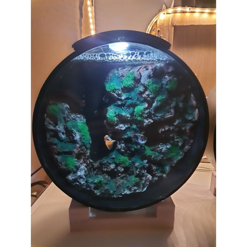 Mini Aquascape Bulat dekorasi Tebing Karang