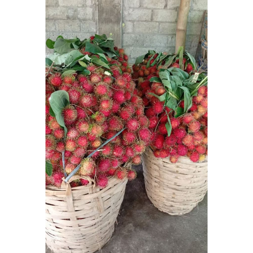 Rambutan Binjai 1kg