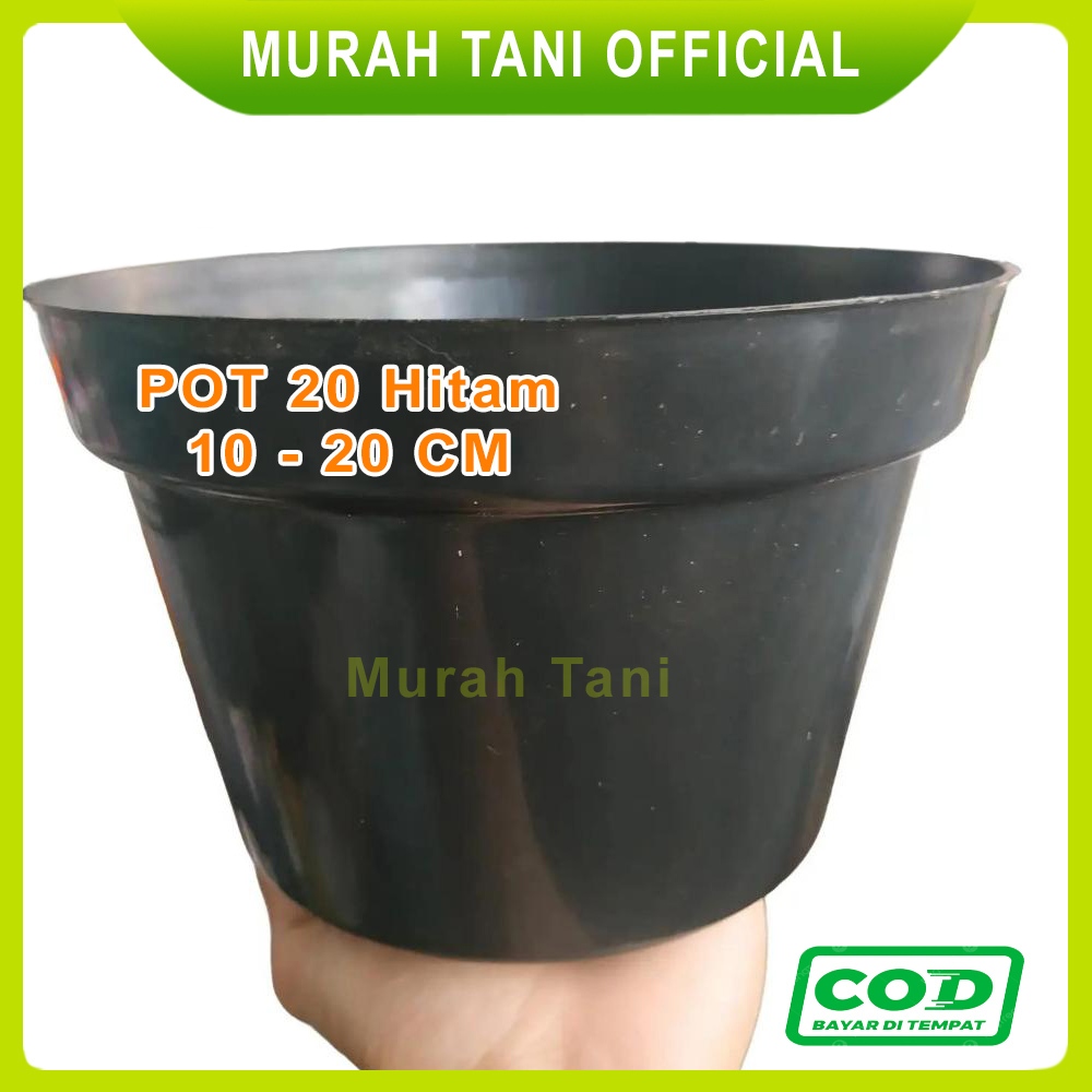Lusinan Pot Tanaman Bunga Hitam Ukuran 20 15 17 10 cm