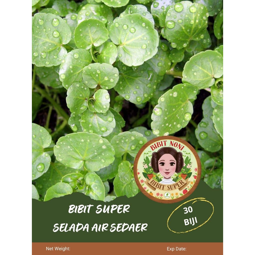 Bibit Super Selada Air Sedaer | Biji Benih Selada Air