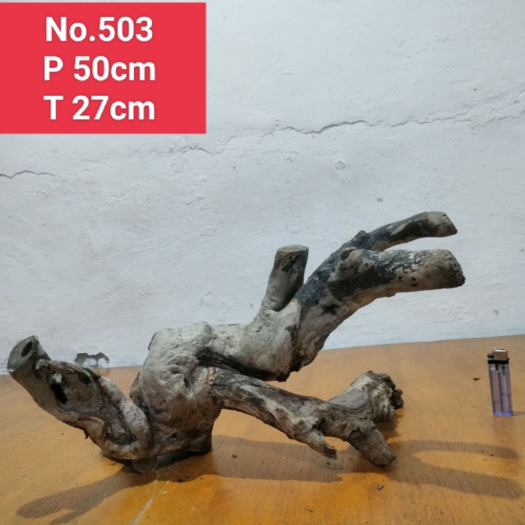 akar santigi laut kayu santigi laut dekorasi aquascape aquarium 503