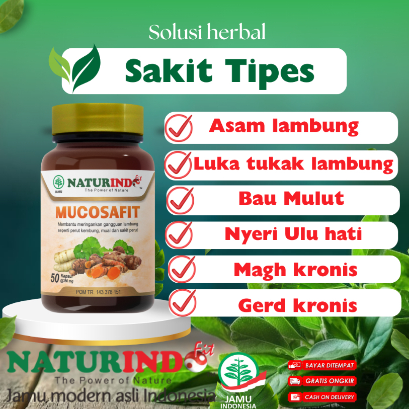 obat herbal tipes asam lambung sakit perut obat pencernaan obat tipes alami bpom