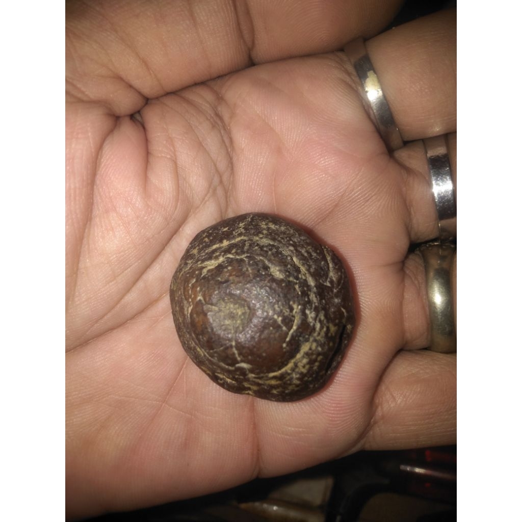 Batu Ati Ayam Sakral