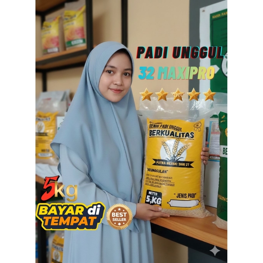 Benih padi/bibit padi unggul Inpari 32 MAXIPRO 5kg