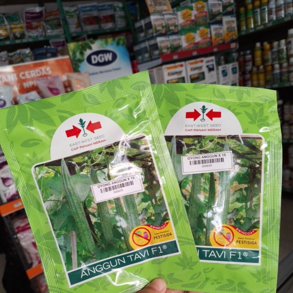 BIBIT OYONG ANGGUN TAVI F1 - 75 BUTIR