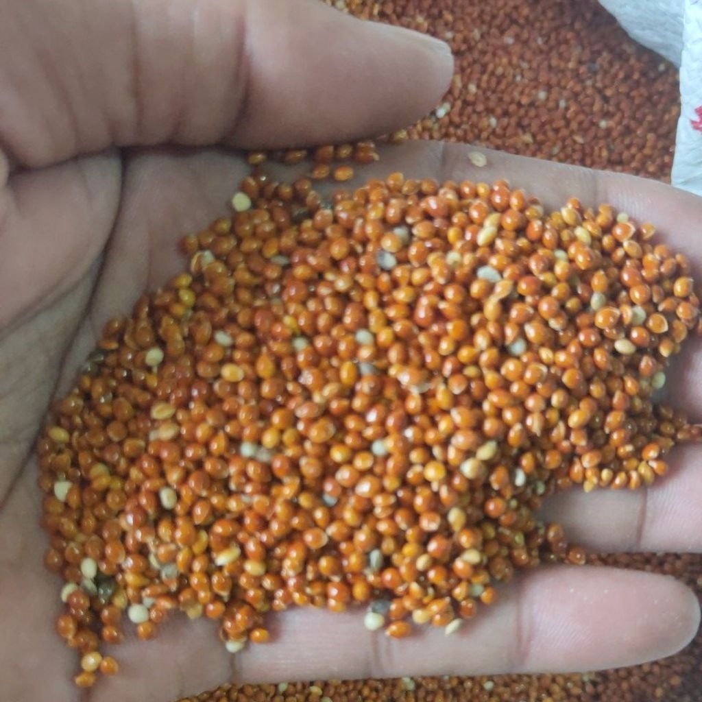 milet merah 1kg