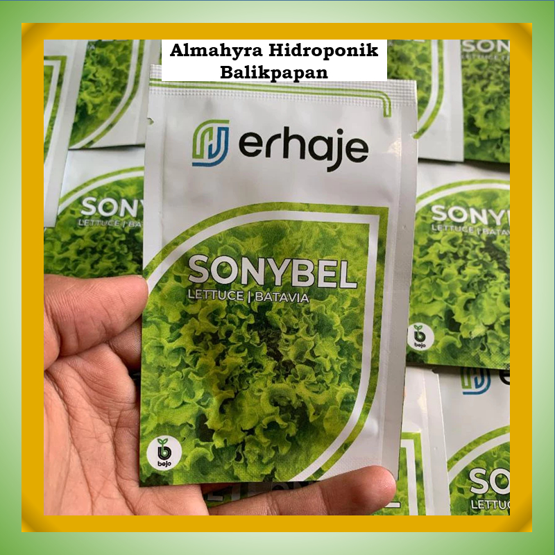 Benih Selada Sonybel 1gr gram  Bejo Benih Selada Import Sonybel Pengganti Benih Myrtel