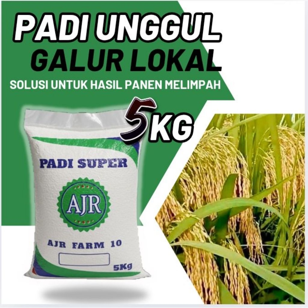 BENIH PADI UNGGUL KUALITAS TERJAMIN(GALUR LOKAL)5KG