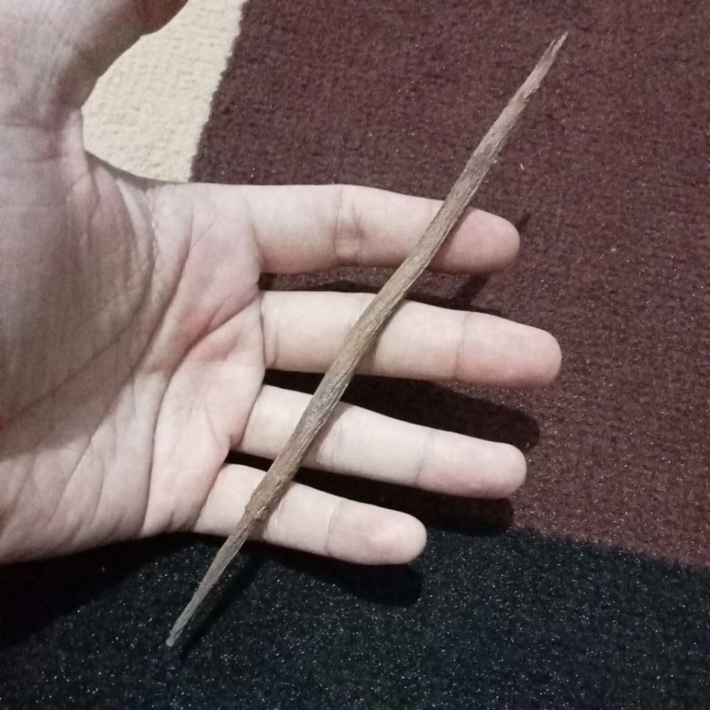 ageman cacing kanil Luk 5