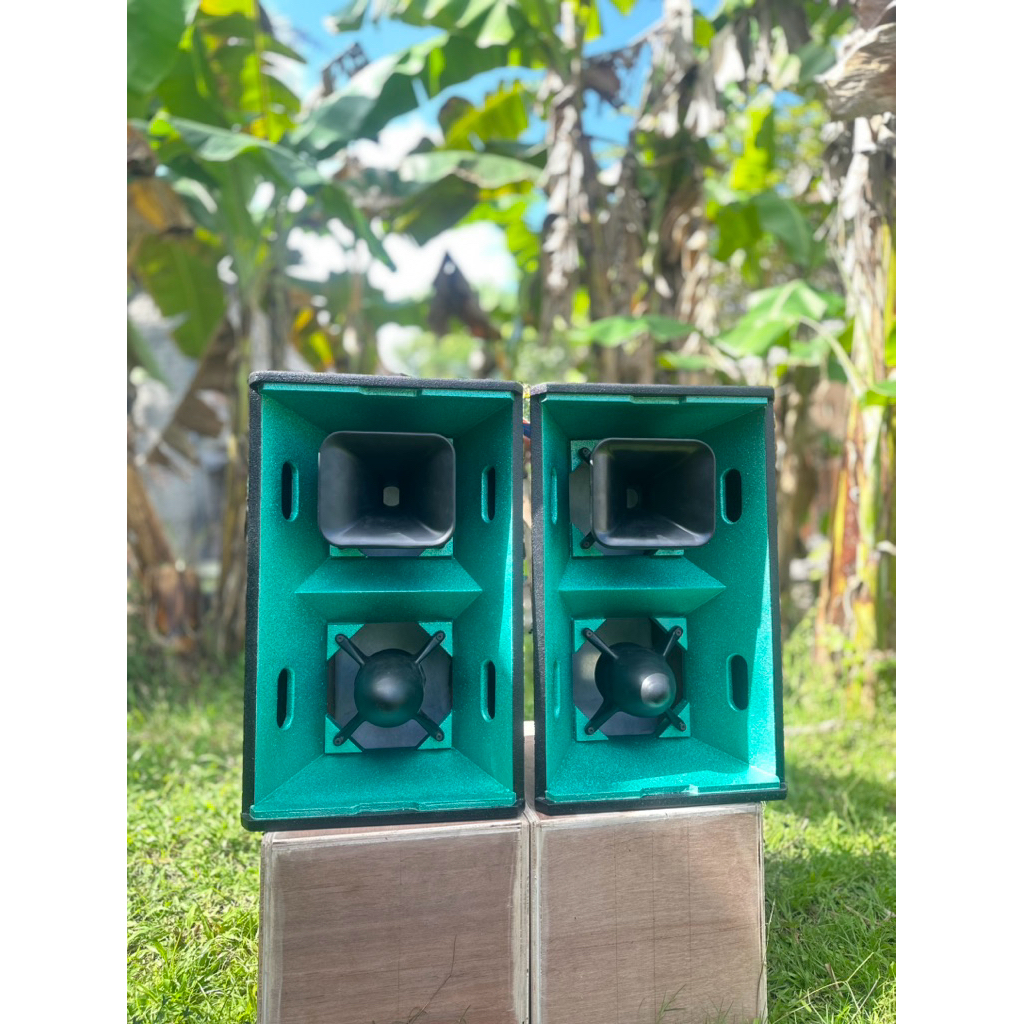 Box T24n /M24n 12 Inch Bahan Super Bagus