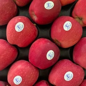 Apel Fuji premium 1kg
