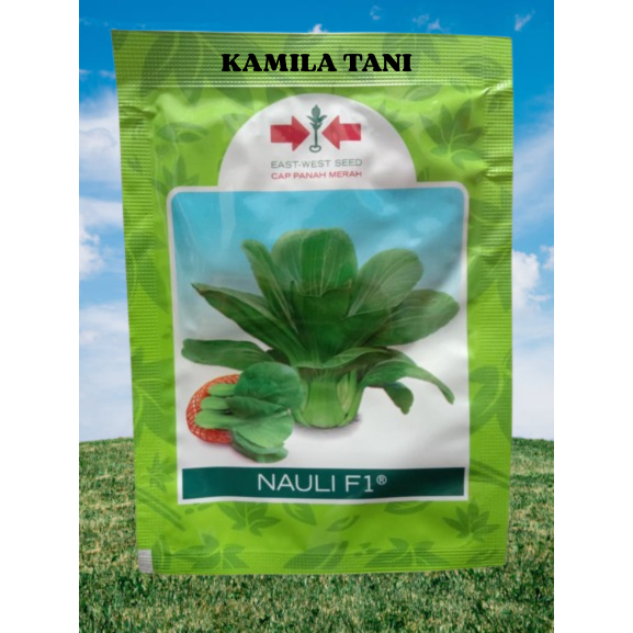 Benih Sawi Pakcoy Nauli | isi 10 gr