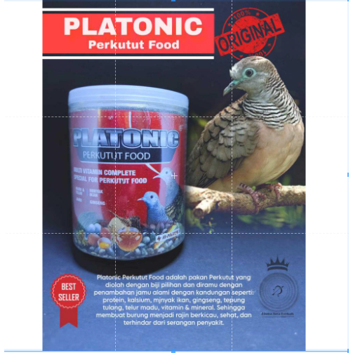 PLATONIC PAKAN BURUNG PERKUTUT