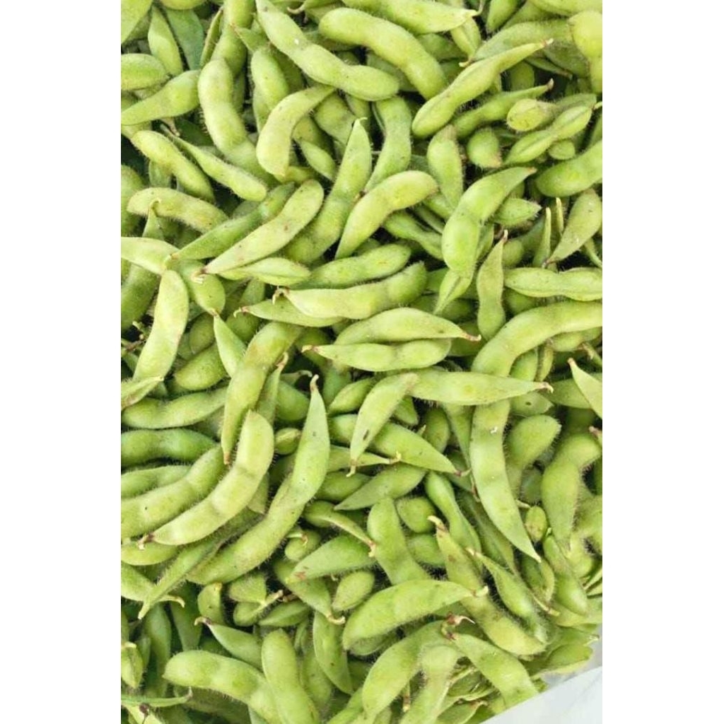 Edamame fresh 1 kg kwalitas premium asli jember
