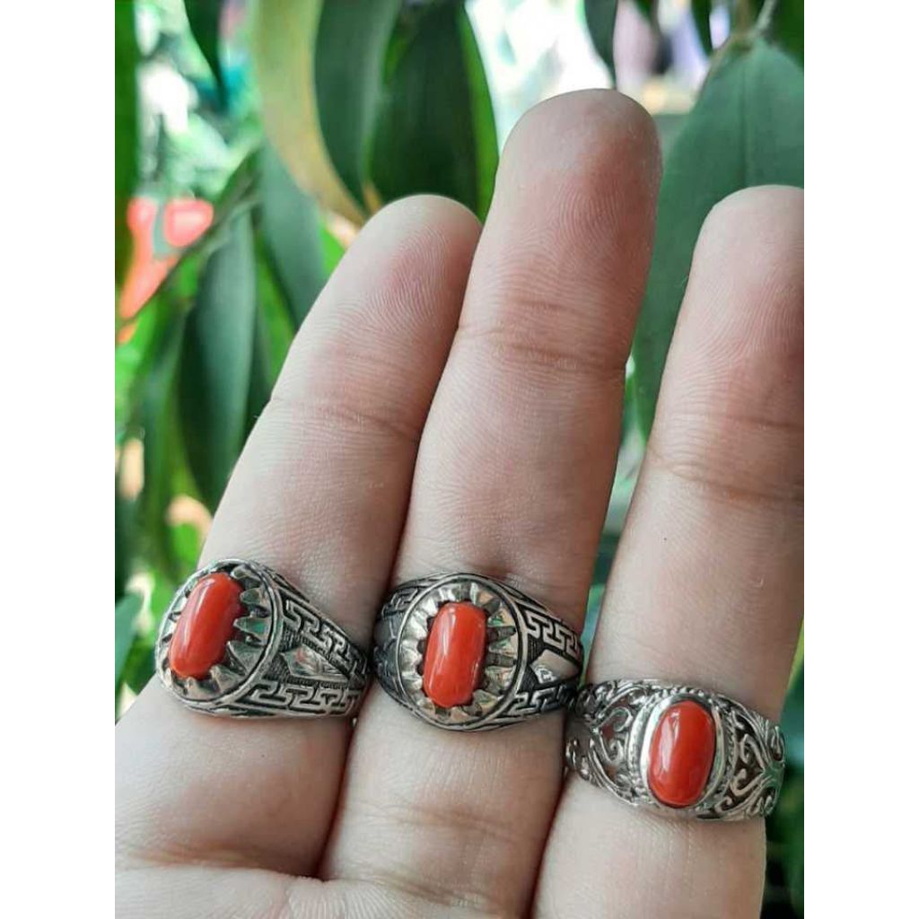 Marjan Mediterania 3pcs asli natural + ring