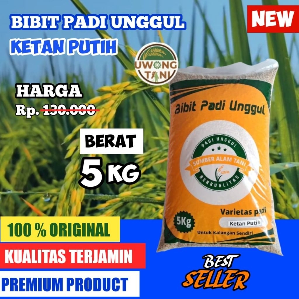 BENIH PADI BIBIT PADI KETAN PUTIH KEMASAN 5 KG
