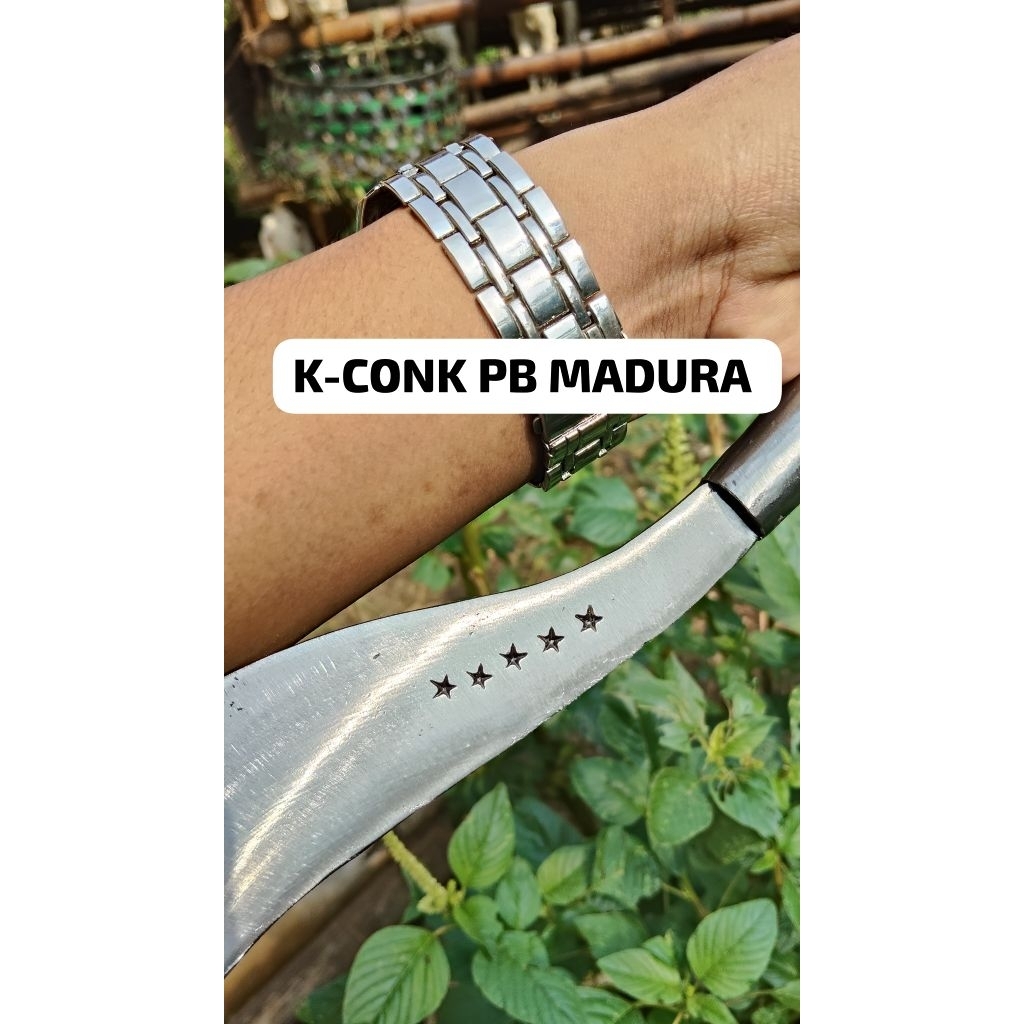 arit/sabit rumput pertanian tradisional asli Madura