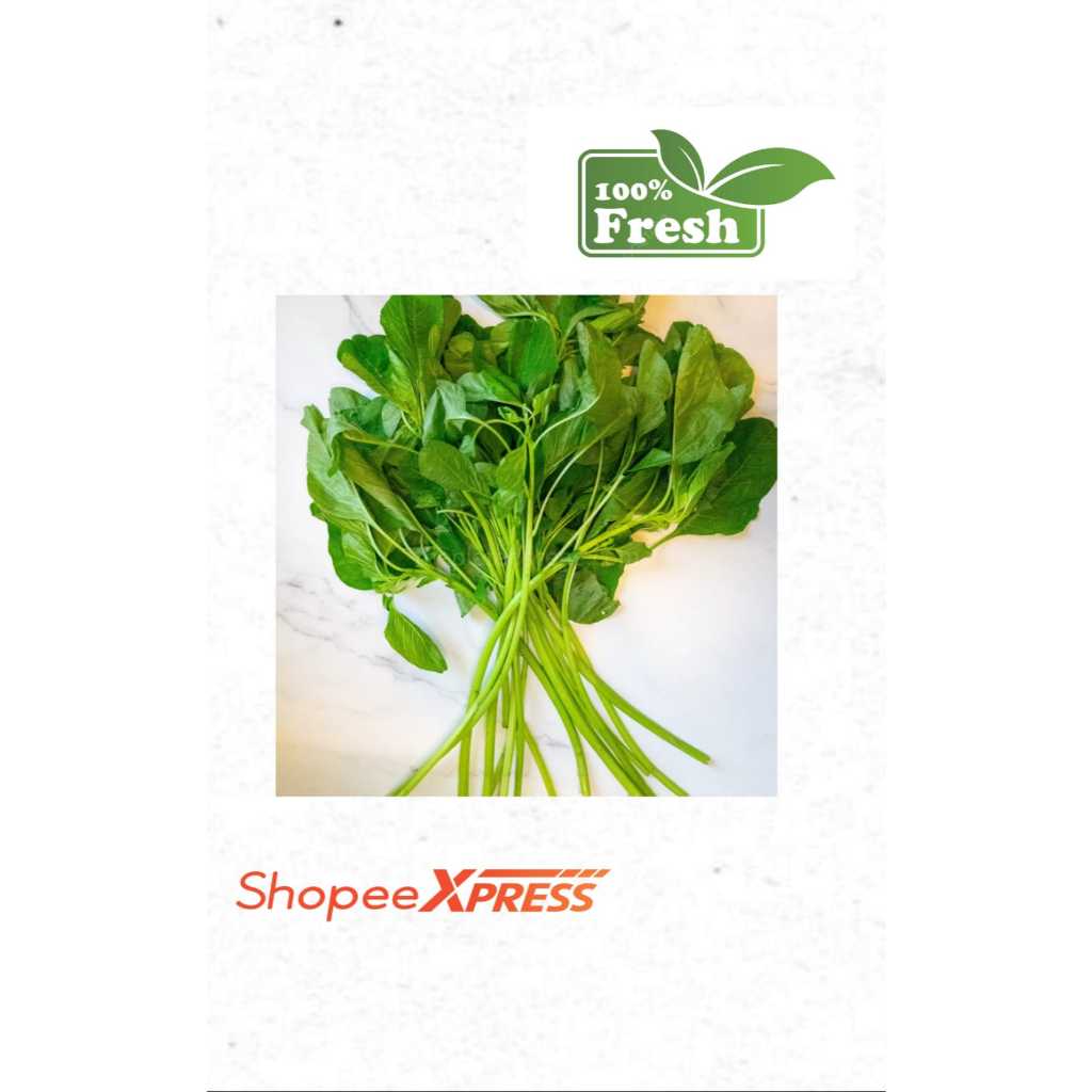 Sayur Bayam segar - sayur segar lor