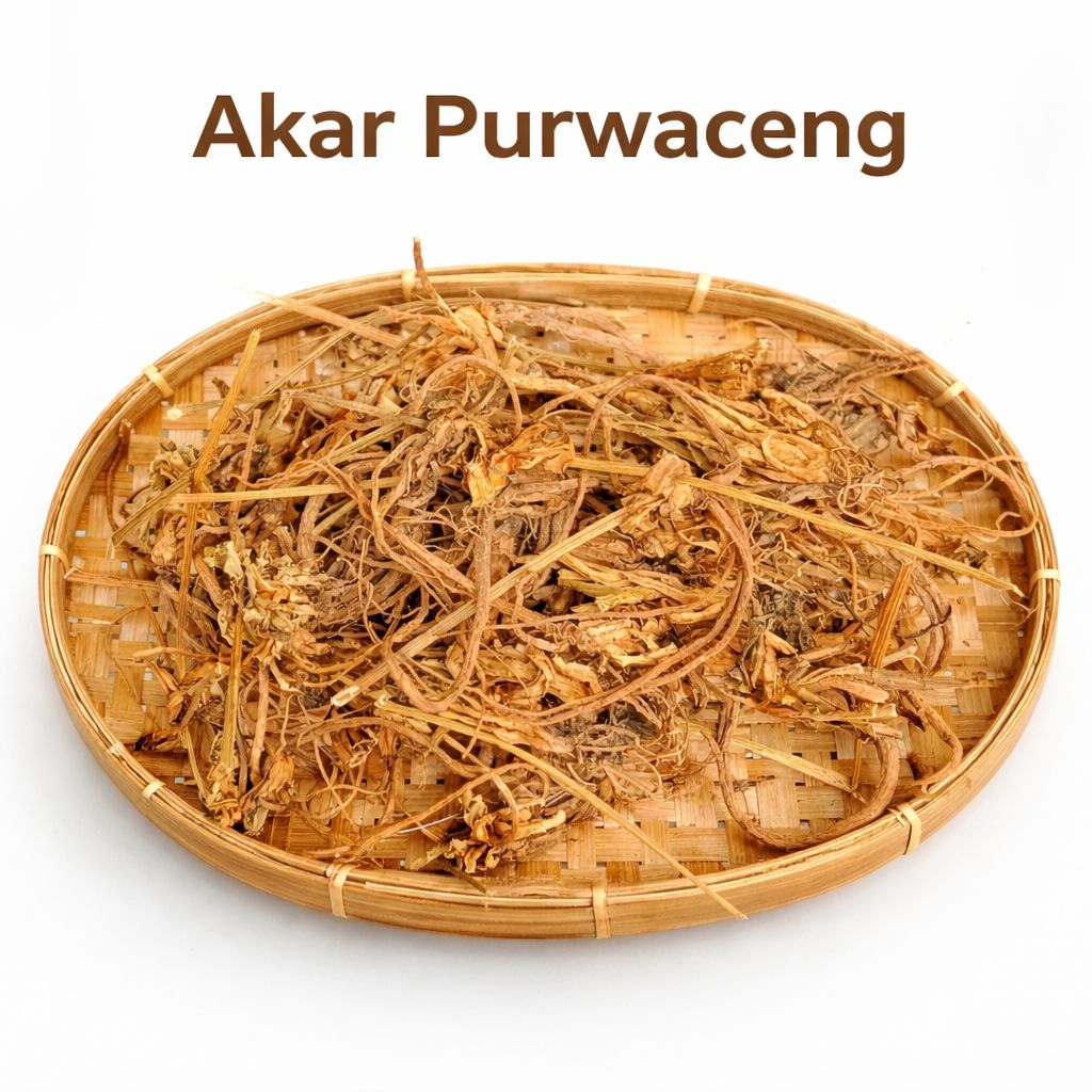 Akar purwaceng kering - herbal purwaceng - jamu purwaceng - minuman akar purwaceng - jamu vitalitas