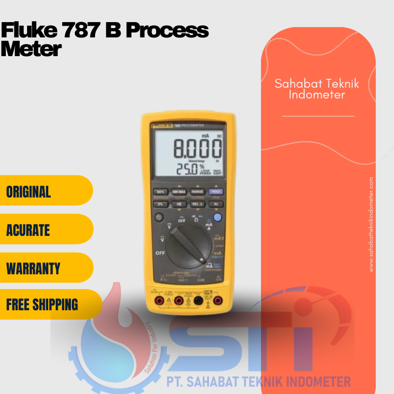 Fluke 787 B Process Meter