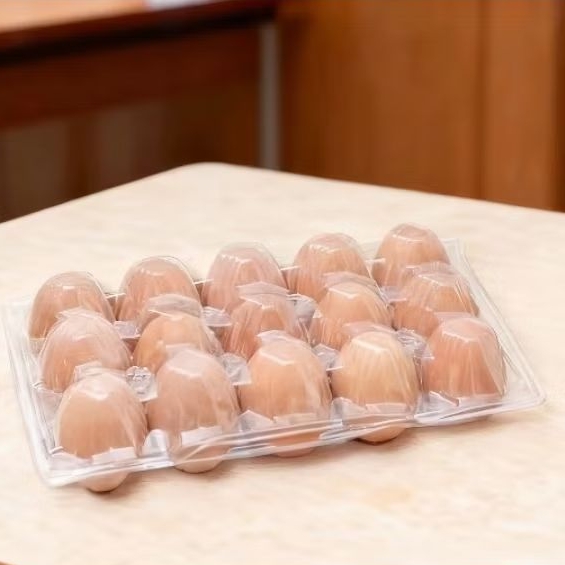 EGG TRAY MIKA TELUR ISI 15 BUTIR DENGAN PENGUNCI