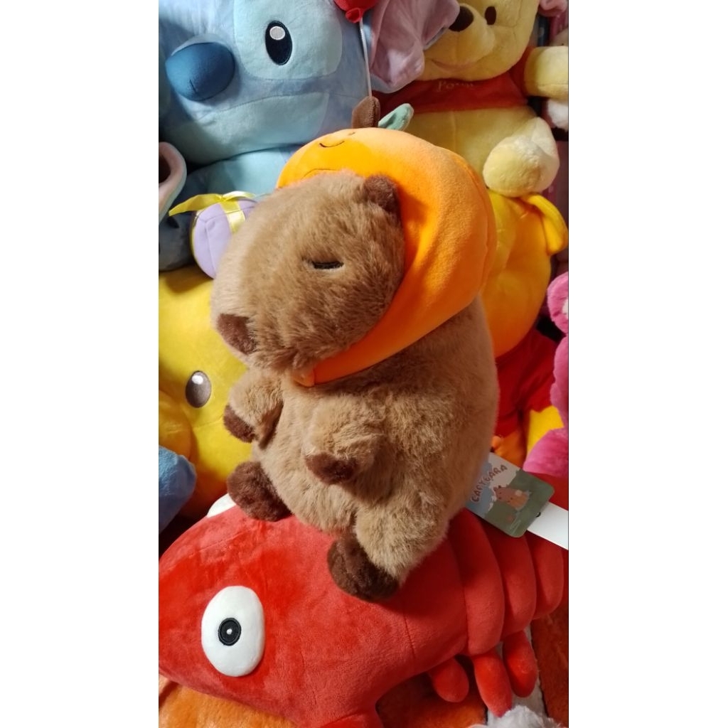 Boneka capybara ori miniso